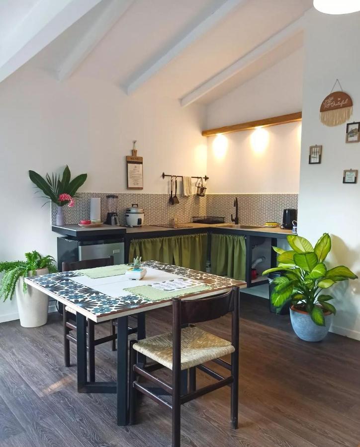 Chilamate Holiday House Puerto Viejo de Talamanca Екстериор снимка