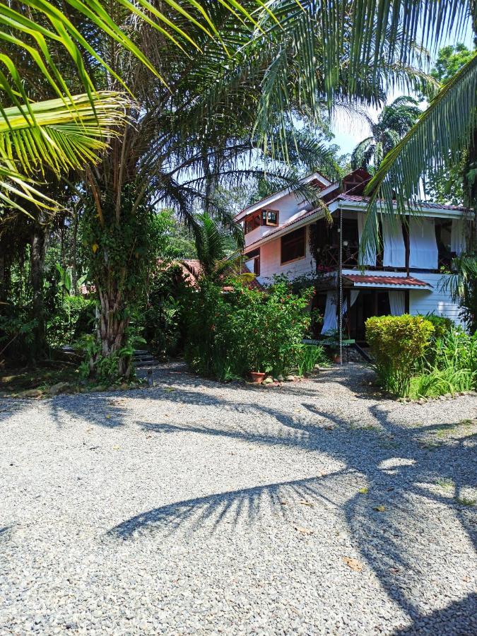 Chilamate Holiday House Puerto Viejo de Talamanca Екстериор снимка