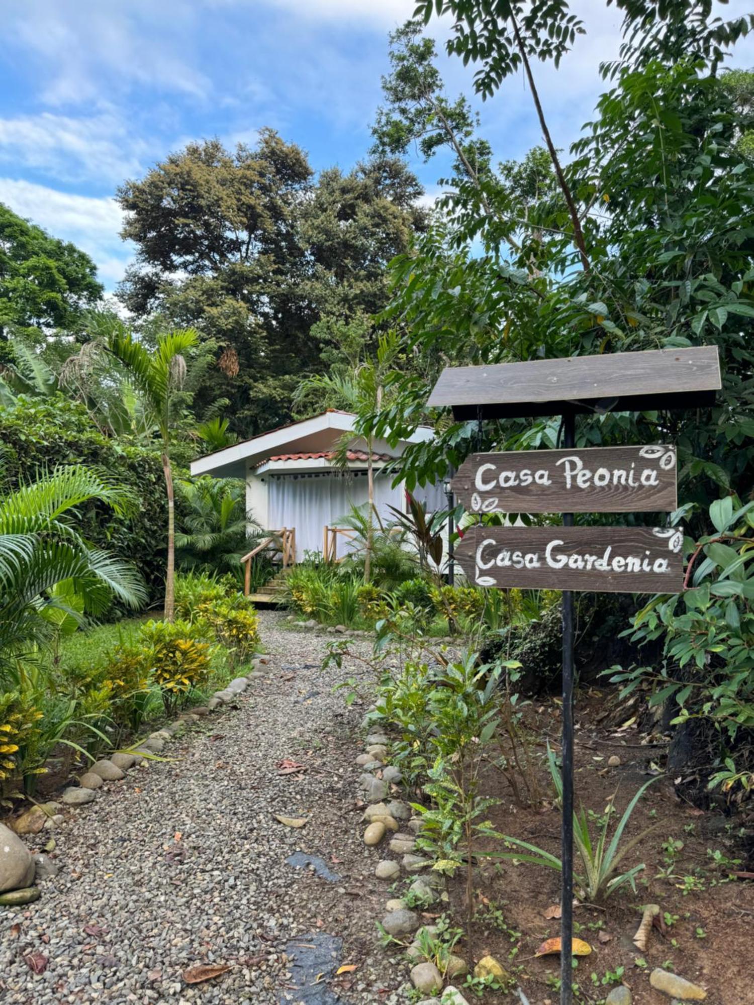 Chilamate Holiday House Puerto Viejo de Talamanca Екстериор снимка