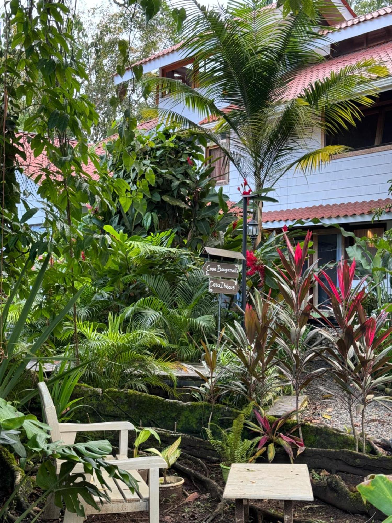 Chilamate Holiday House Puerto Viejo de Talamanca Екстериор снимка