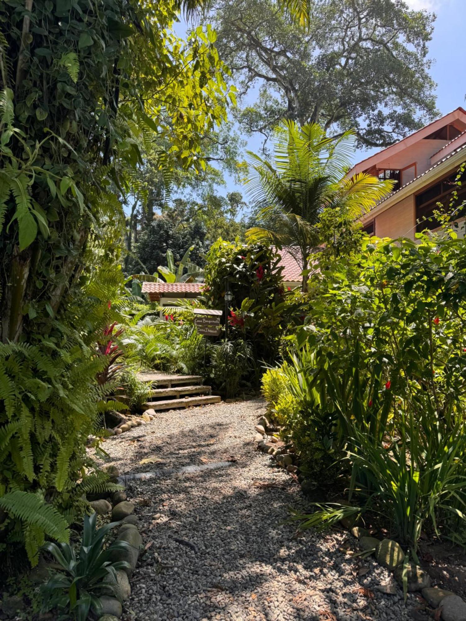 Chilamate Holiday House Puerto Viejo de Talamanca Екстериор снимка